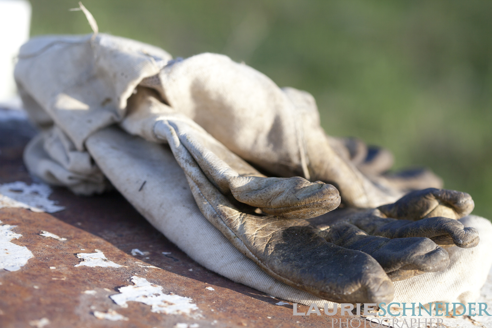 Worn beekeeping gloves